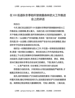 在XX街道秋冬季秸秆禁烧暨森林防火工作推进会上的讲话
