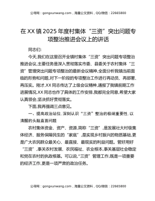 在XX镇2025年度村集体“三资”突出问题专项整治推进会议上的讲话