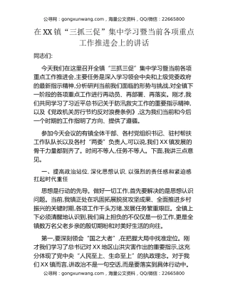 在XX镇“三抓三促”集中学习暨当前各项重点工作推进会上的讲话