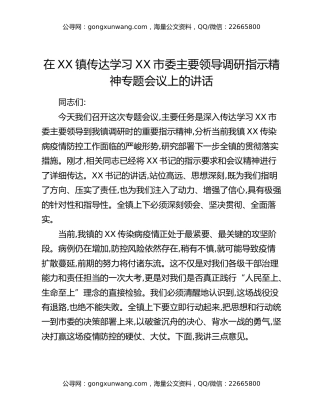 在XX镇传达学习XX市委主要领导调研指示精神专题会议上的讲话