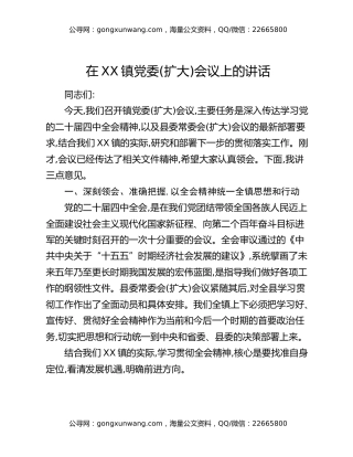 在XX镇党委(扩大)会议上的讲话