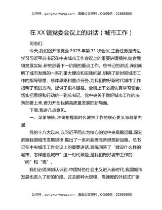 在XX镇党委会议上的讲话