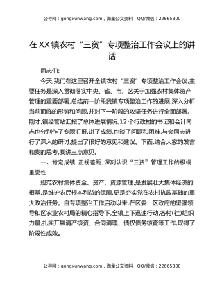 在XX镇农村“三资”专项整治工作会议上的讲话