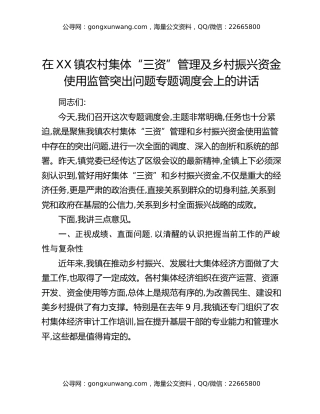 在XX镇农村集体“三资”管理及乡村振兴资金使用监管突出问题专题调度会上的讲话