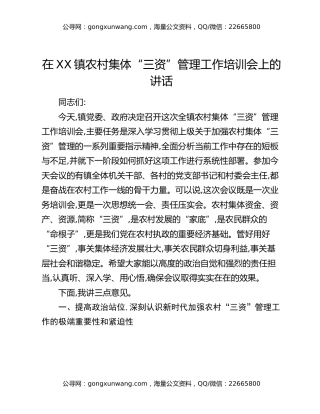 在XX镇农村集体“三资”管理工作培训会上的讲话