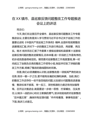 在XX镇市、县巡察反馈问题整改工作专题推进会议上的讲话