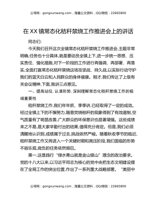 在XX镇常态化秸秆禁烧工作推进会上的讲话