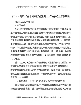 在XX镇年轻干部锻炼提升工作会议上的讲话
