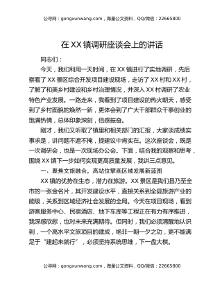 在XX镇调研座谈会上的讲话