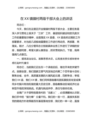 在XX镇镇村两级干部大会上的讲话
