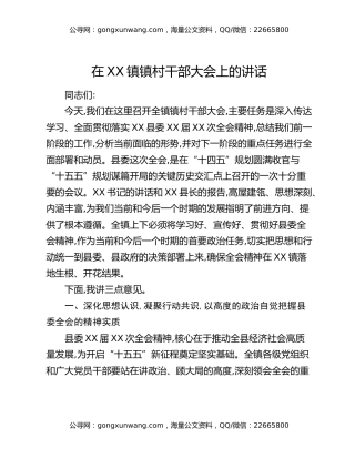 在XX镇镇村干部大会上的讲话
