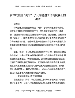 在XX集团“两非”子公司清退工作调度会上的讲话