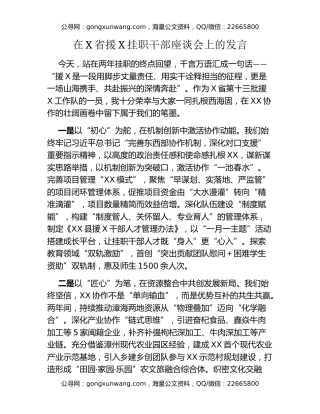 在X省援X挂职干部座谈会上的发言2篇