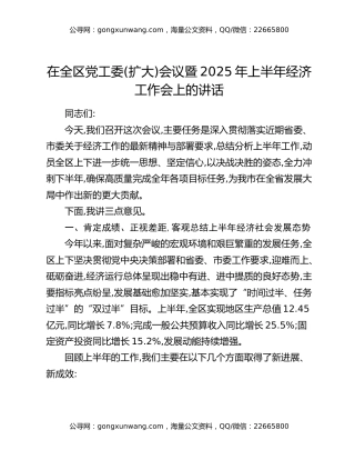 在全区党工委(扩大)会议暨2025年上半年经济工作会上的讲话