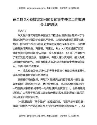 在全县XX领域突出问题专题集中整治工作推进会上的讲话