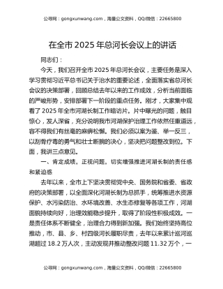 在全市2025年总河长会议上的讲话
