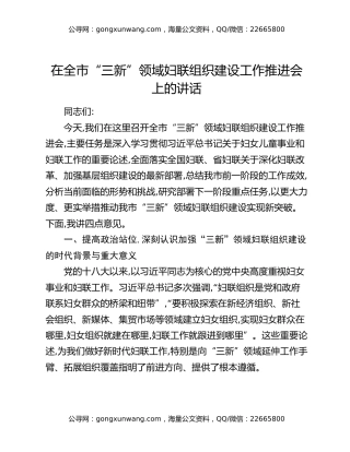 在全市“三新”领域妇联组织建设工作推进会上的讲话