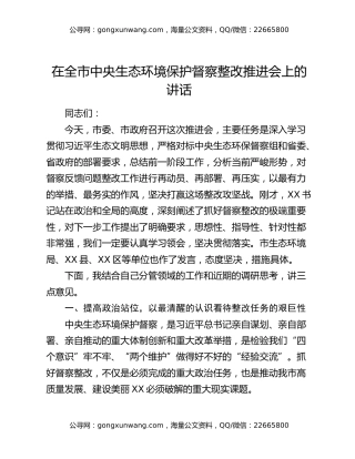 在全市中央生态环境保护督察整改推进会上的讲话