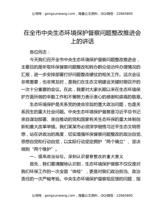 在全市中央生态环境保护督察问题整改推进会上的讲话
