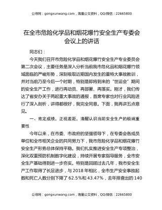 在全市危险化学品和烟花爆竹安全生产专委会会议上的讲话