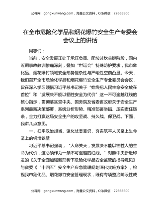 在全市危险化学品和烟花爆竹安全生产专委会会议上的讲话（2）