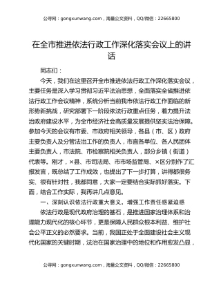 在全市推进依法行政工作深化落实会议上的讲话