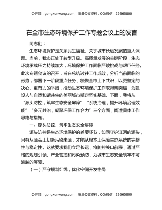 在全市生态环境保护工作专题会议上的发言（2）