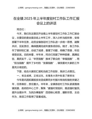 在全镇2025年上半年度驻村工作队工作汇报会议上的讲话