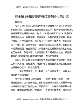 在全镇乡村振兴指导员工作例会上的讲话