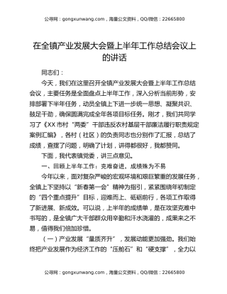 在全镇产业发展大会暨上半年工作总结会议上的讲话