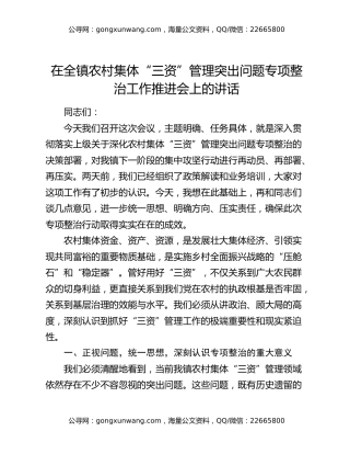 在全镇农村集体“三资”管理突出问题专项整治工作推进会上的讲话