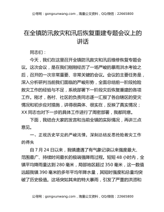 在全镇防汛救灾和汛后恢复重建专题会议上的讲话