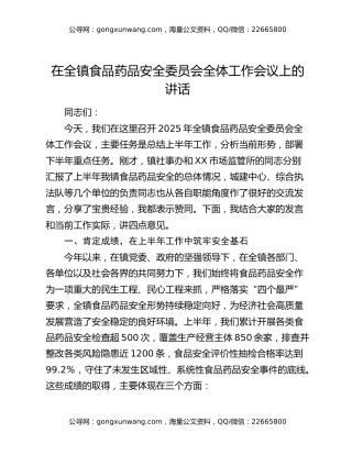 在全镇食品药品安全委员会全体工作会议上的讲话