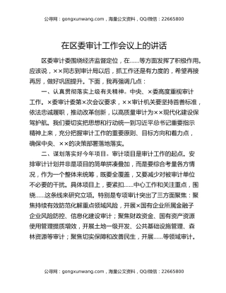 在区委审计工作会议上的讲话
