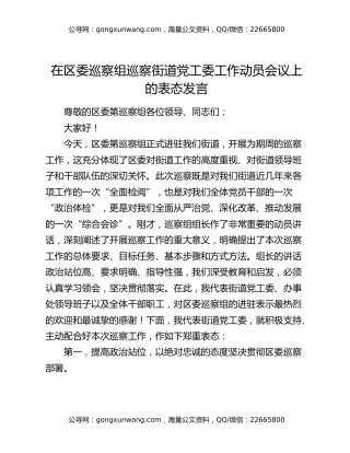 在区委巡察组巡察街道党工委工作动员会议上的表态发言