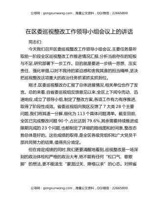 在区委巡视整改工作领导小组会议上的讲话