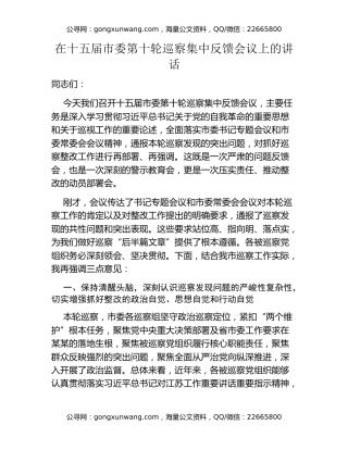 在十五届市委第十轮巡察集中反馈会议上的讲话