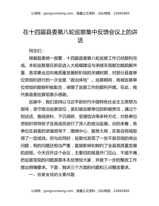 在十四届县委第八轮巡察集中反馈会议上的讲话