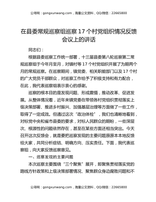 在县委常规巡察组巡察17个村党组织情况反馈会议上的讲话