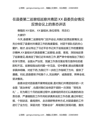 在县委第二巡察组巡察共青团XX县委员会情况反馈会议上的表态讲话