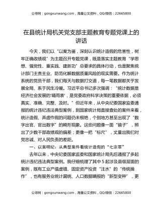 在县统计局机关党支部主题教育专题党课上的讲话