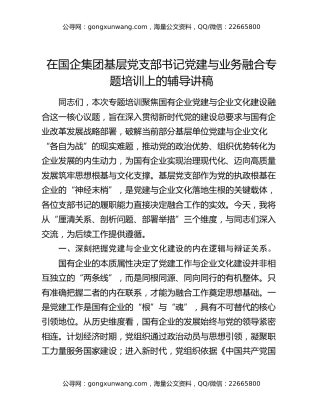 在国企集团基层党支部书记党建与业务融合专题培训上的辅导讲稿