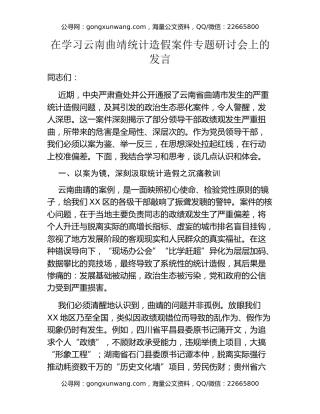 在学习云南曲靖统计造假案件专题研讨会上的发言
