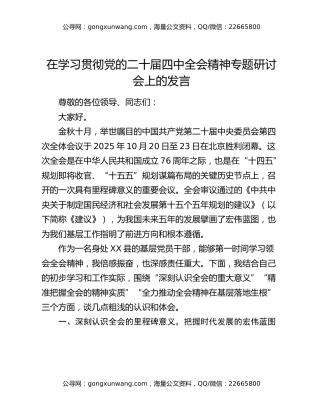 在学习贯彻党的二十届四中全会精神专题研讨会上的发言