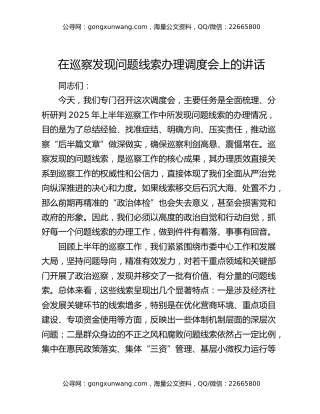 在巡察发现问题线索办理调度会上的讲话