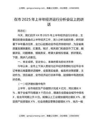 在市2025年上半年经济运行分析会议上的讲话