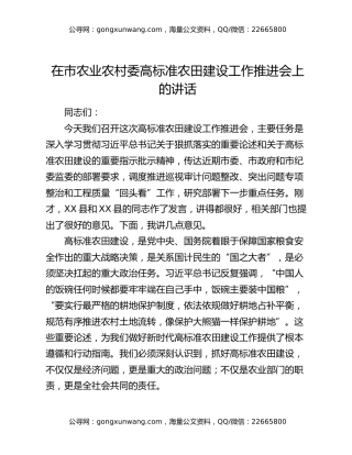 在市农业农村委高标准农田建设工作推进会上的讲话
