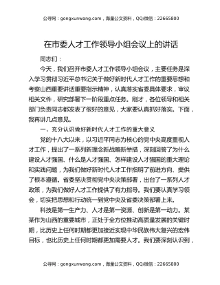 在市委人才工作领导小组会议上的讲话