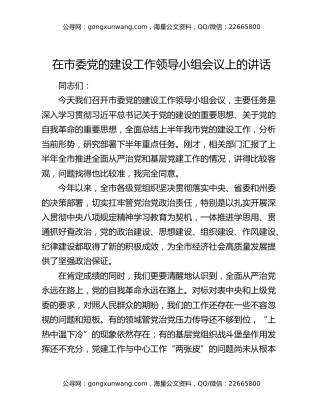 在市委党的建设工作领导小组会议上的讲话（3）