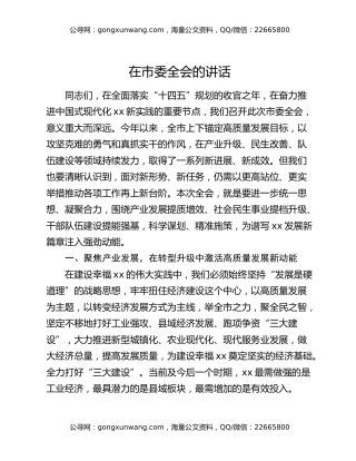 在市委全会的讲话